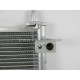 MIT MIRAGE '17 CONDENSER