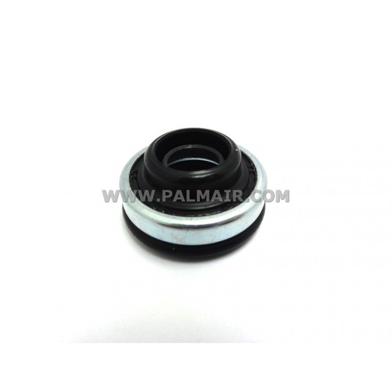 ND 10PA LIP SEAL